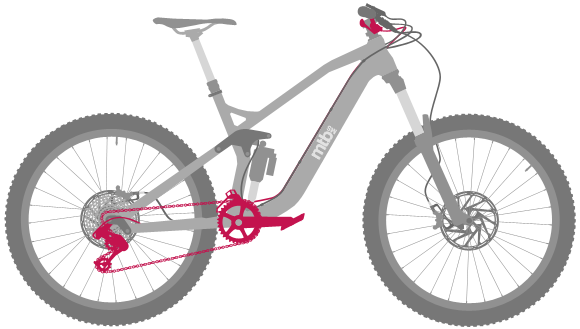 Schaltung und Antrieb am Mountainbike selber warten