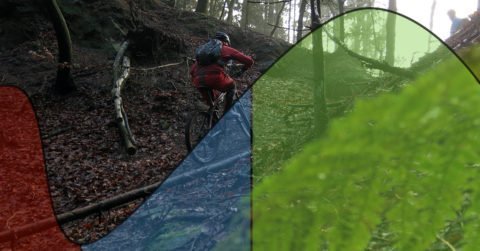 Regeneration und Leistungssteigerung