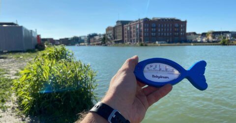 Wassertemperatur im Hafenbecken von Münster